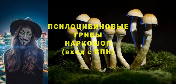 прущие крисы Алексин