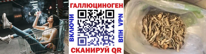 Галлюциногенные грибы мухоморы  Елец 